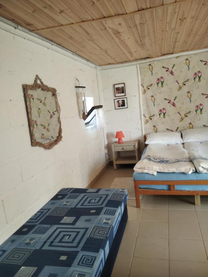Agrocamp Villa Pawlowka  Dış mekan fotoğraf
