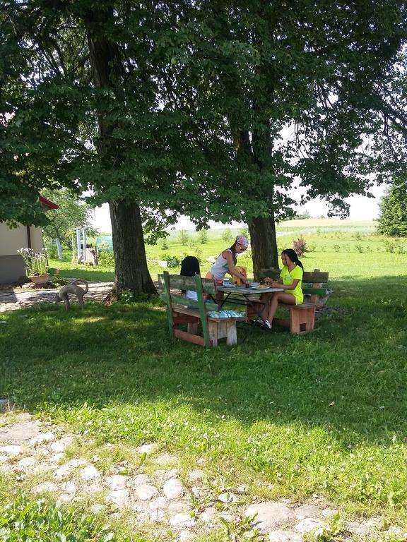 Agrocamp Villa Pawlowka  Dış mekan fotoğraf