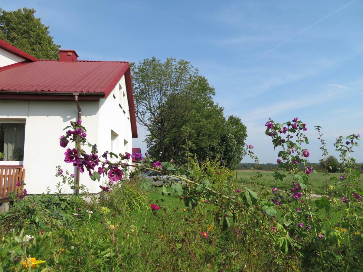 Agrocamp Villa Pawlowka  Dış mekan fotoğraf